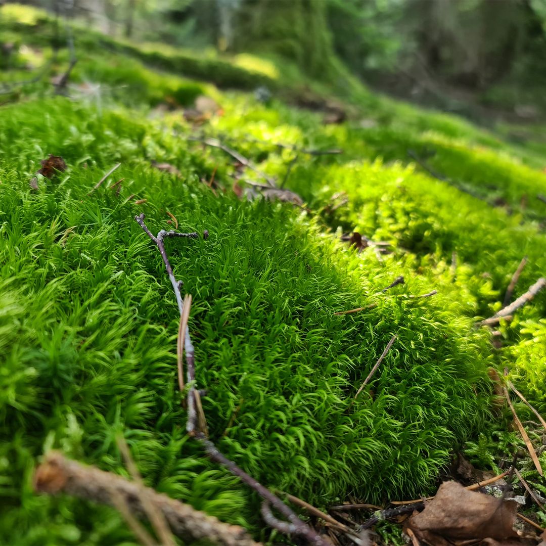 Erlebnispädagogik